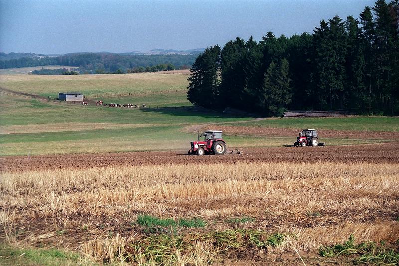 Klein-Eichen